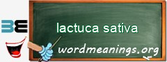 WordMeaning blackboard for lactuca sativa